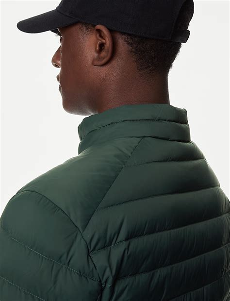Buy Zip Up Solid Puffed Jacket at Marks & Spencer