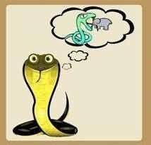 蛇吞象的成语是什么？一蛇吞象是什么意思-五毛网