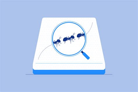 How to Get Rid of Ants in Your Bed - Amerisleep