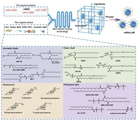Approaches to the design of lipid-based nanocarriers