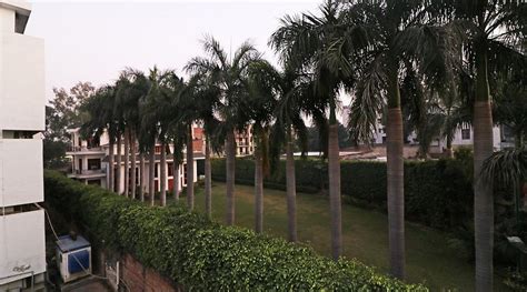 OYO 26911 KCG HOTELS (New Delhi) - Hotel Reviews, Photos, Rate ...