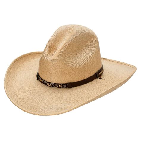 Stetsoncalhoun Natural Palm Hat | Desertcart INDIA