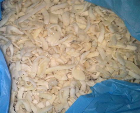 Buy Seafood Online,Cuttlefish Whole,Fresh Fish For Sale,Squid Strips ...