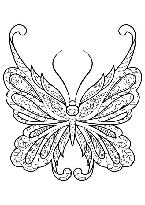 Advanced Butterfly Coloring Pages For Adults