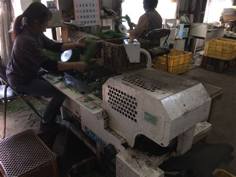 Latest Farming Jobs near you | WORK JAPAN