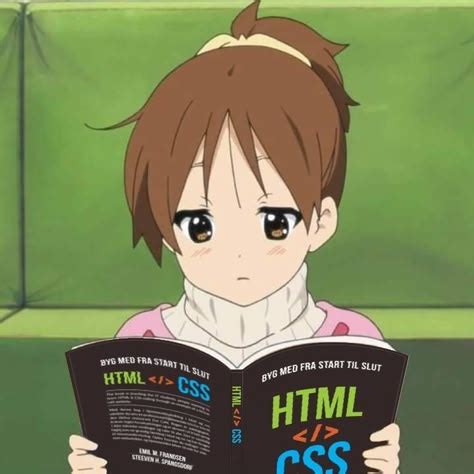 Image result for Anime Coder Python