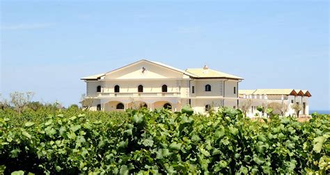 SENATORE VINI (2024) All You Need to Know BEFORE You Go (with Photos ...