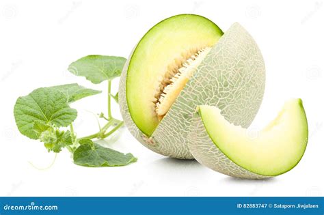 Green Cantaloupe Melon Isolated Stock Image - Image of honeydew, diet ...