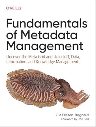 Fundamentals of Metadata Management: Uncover the Meta Grid and Unlock ...
