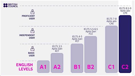 C2 Level 的图像结果