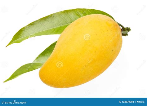 Fruits Pictures Mango