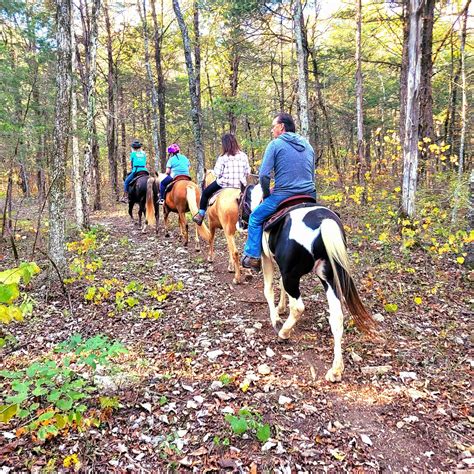 Fancy Forest Farm – Beautiful guided horseback riding, just south of ...