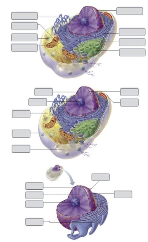 Generalized Cell Structure 的图像结果