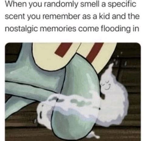 Image result for Smelling Error Meme