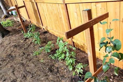 Image result for How to Build Raspberry Trellis