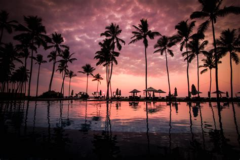 Image result for JavaScript Jpg