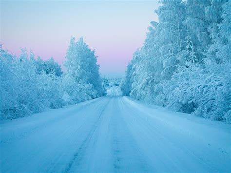 How Cold Can a Chicken Handle? Everything You Need to Know