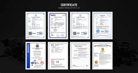 Company Overview - Guangzhou Saihuang Auto Parts Co., Ltd.