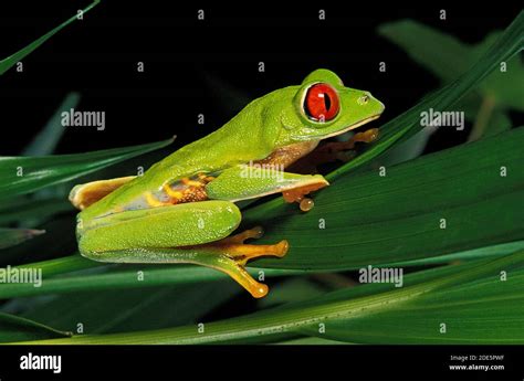 Image result for New Line JavaScript