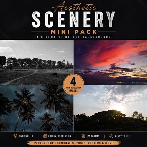 Aesthetic Scenery Mini Pack – 4 Cinematic Nature Backgrounds (High ...