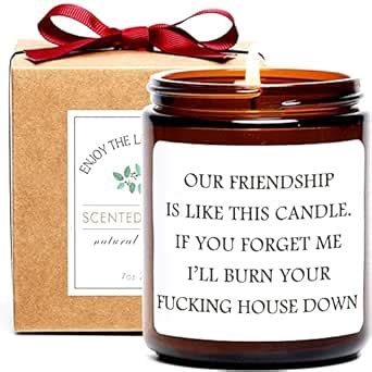 UI Intros Scented Candles: Best Friends Gift, Funny Candle Gifts for ...