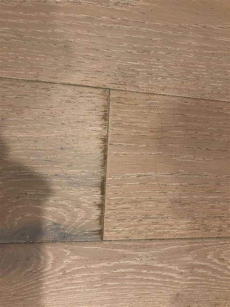 Moved in recently. Love the floor but there are loads of scratches ...