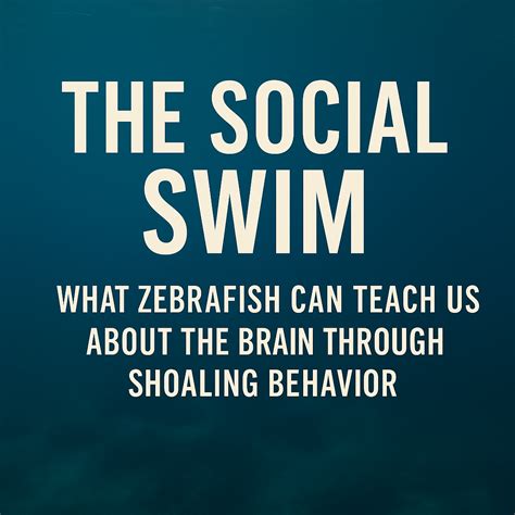 Fish Swim Behavior 的图像结果