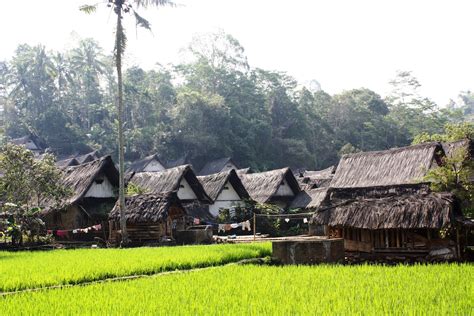 kampung wisata