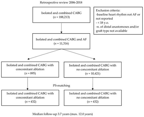 JCM | Special Issue : New Approaches to the Atrial Fibrillation Management