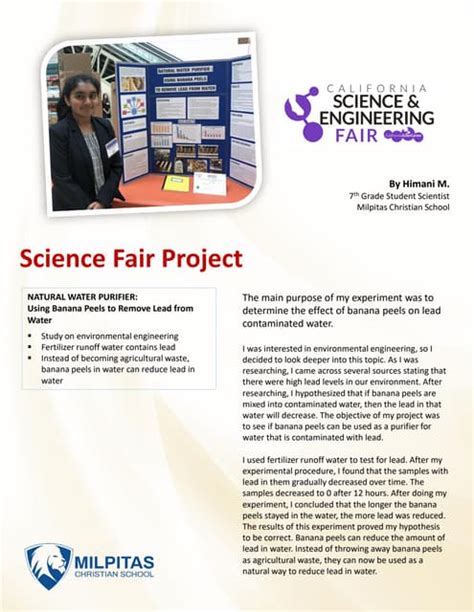 Image result for Example of Science Fair Project