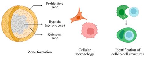 Cells | October-1 2023 - Browse Articles
