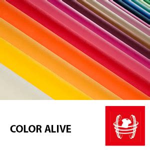 TOSHIBA 11/7 Kg Inverter Fully Automatic Front Loading Washing Dryer ...