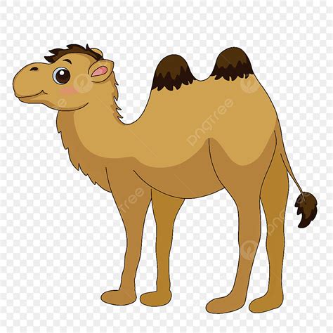 Bactrian Camel Clipart Vector, Cute Bactrian Camel Clip Art, Lovely ...