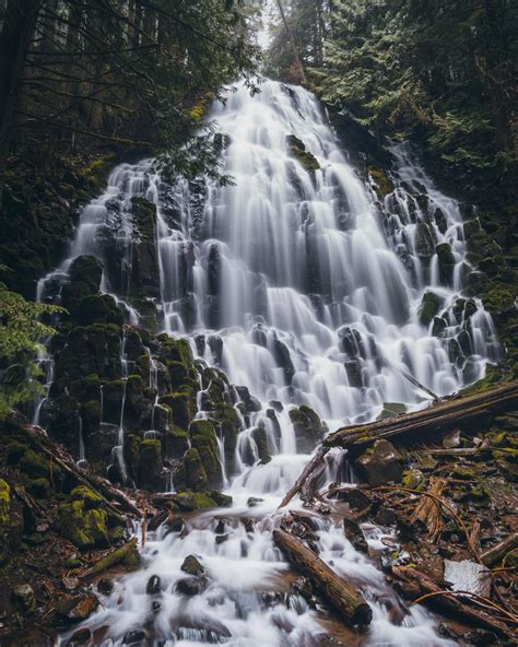 Ramona Falls Trail Guide: A Scenic Hike in Mount Hood