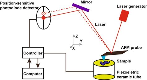 Image result for Atomic force microscopy AFM Principles