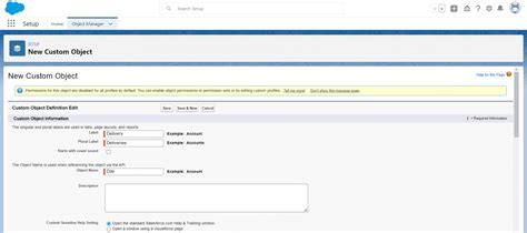 Image result for How to Create Custom Object in Salesforce