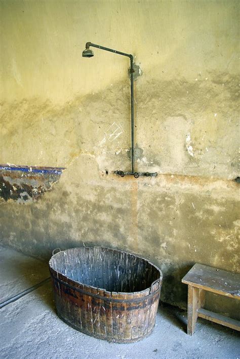 Primitive Shower 的图像结果