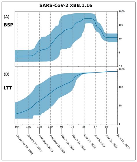 Integrative Genome-Based Survey of the SARS-CoV-2 Omicron XBB.1.16 Variant