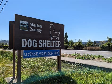 Marion County Dog Shelter