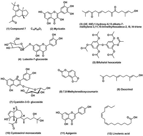 Phytochemical Investigation of Three Cystoseira Species and Their ...
