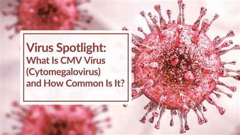 Virus Spotlight: What Is CMV Virus (Cytomegalovirus) and How Common Is It? - CBH Energetics