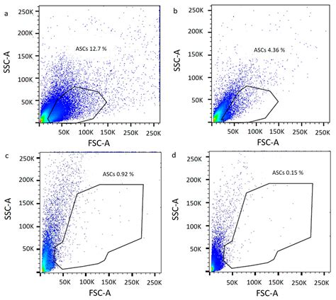 In Vitro Characterization of Adipose Stem Cells Non-Enzymatically ...