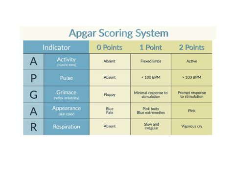 Image result for Apgar Testing
