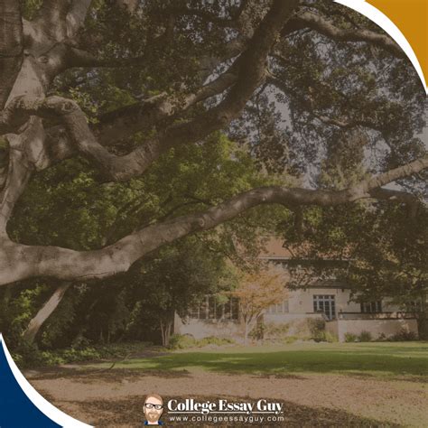 UC Berkeley Acceptance Rate: Common Data Set 2023