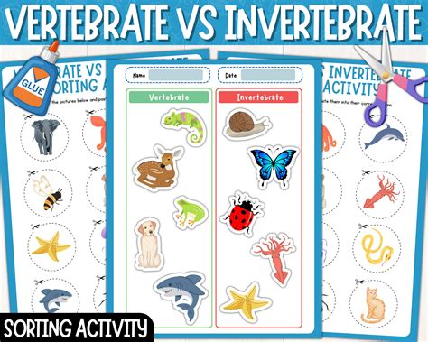 Vertebrates and Invertebrates Sorting Activity | Animal Classification ...