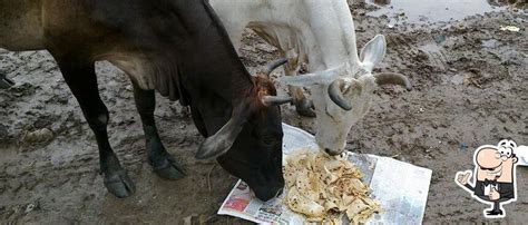 Ek Roti Roz, Tikrapara - Restaurant menu, prices and reviews