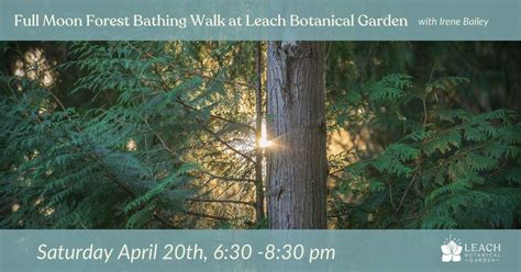 Full Moon Forest Bathing Walk with Irene Bailey, Leach Botanical Garden ...