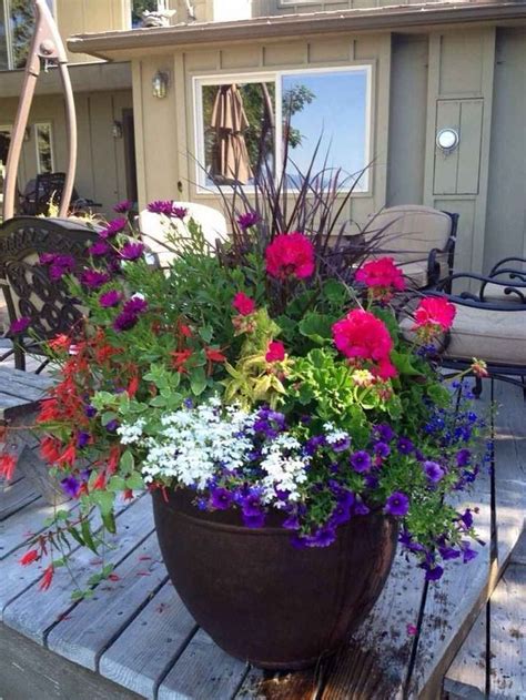 45 beautiful summer container garden flowers ideas - Structhome.com in ...