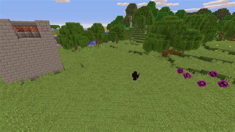 Image result for MCC Public Practice Server