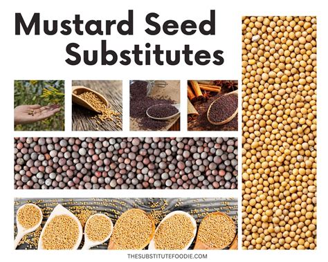 The Best Mustard Seed Substitutes To Use | The Olive Branch Nest